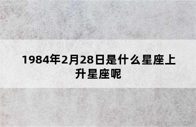 1984年2月28日是什么星座上升星座呢