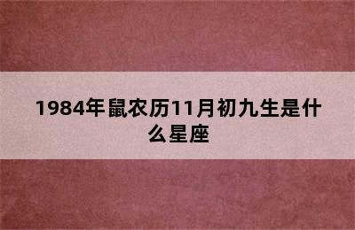 1984年鼠农历11月初九生是什么星座