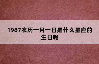 1987农历一月一日是什么星座的生日呢