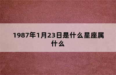 1987年1月23日是什么星座属什么