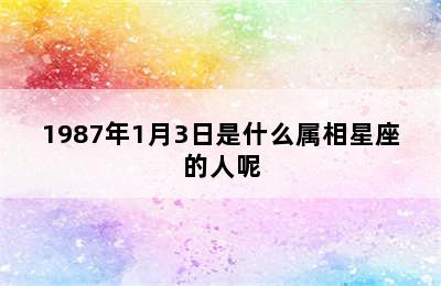 1987年1月3日是什么属相星座的人呢