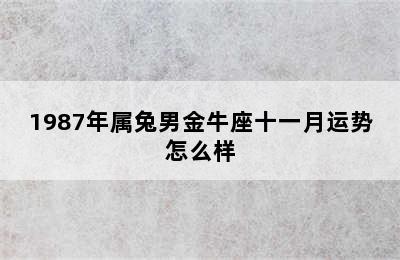 1987年属兔男金牛座十一月运势怎么样