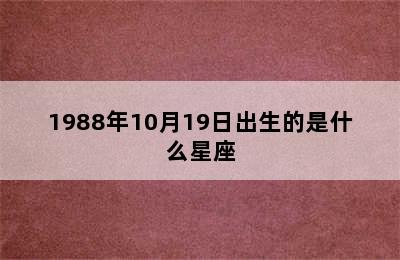 1988年10月19日出生的是什么星座