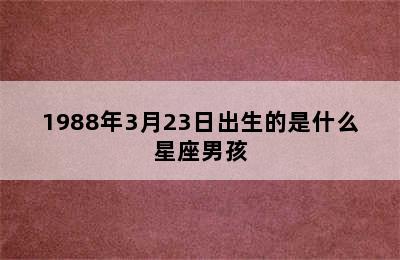 1988年3月23日出生的是什么星座男孩