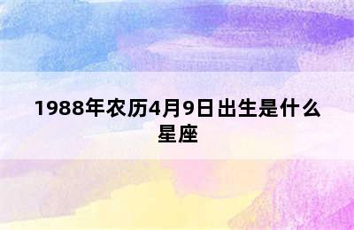 1988年农历4月9日出生是什么星座