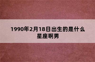 1990年2月18日出生的是什么星座啊男