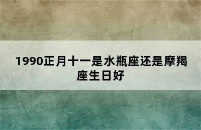 1990正月十一是水瓶座还是摩羯座生日好