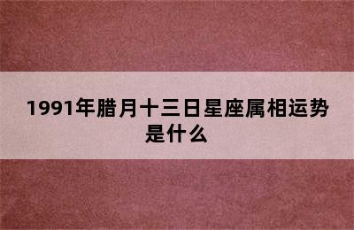 1991年腊月十三日星座属相运势是什么