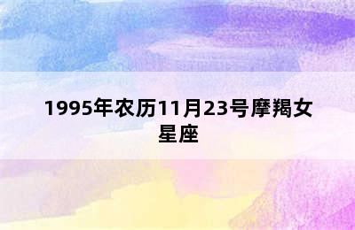 1995年农历11月23号摩羯女星座