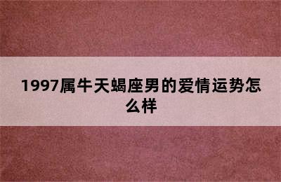 1997属牛天蝎座男的爱情运势怎么样