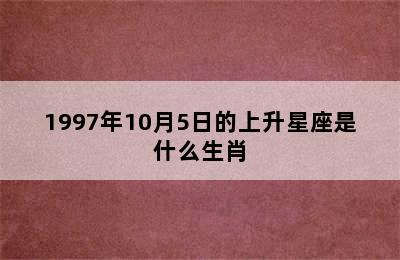 1997年10月5日的上升星座是什么生肖