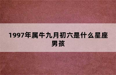 1997年属牛九月初六是什么星座男孩