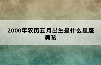 2000年农历五月出生是什么星座男孩