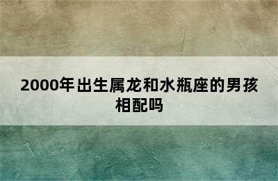 2000年出生属龙和水瓶座的男孩相配吗