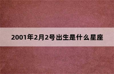 2001年2月2号出生是什么星座