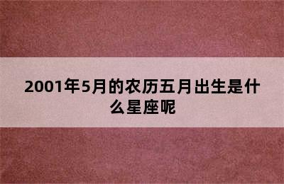 2001年5月的农历五月出生是什么星座呢