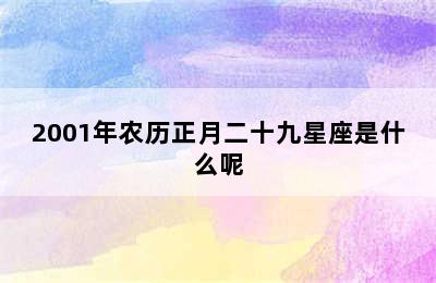 2001年农历正月二十九星座是什么呢