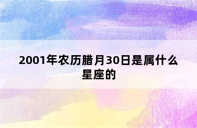 2001年农历腊月30日是属什么星座的