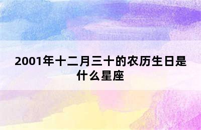 2001年十二月三十的农历生日是什么星座