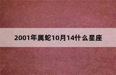 2001年属蛇10月14什么星座