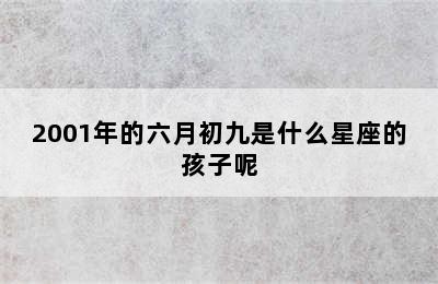 2001年的六月初九是什么星座的孩子呢