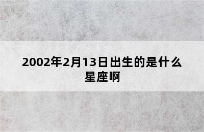 2002年2月13日出生的是什么星座啊