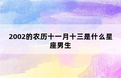 2002的农历十一月十三是什么星座男生