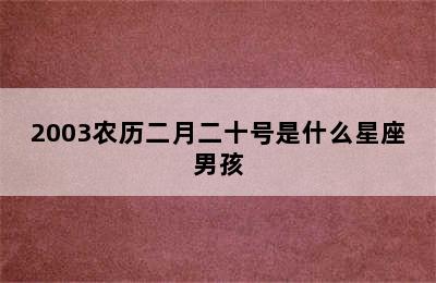 2003农历二月二十号是什么星座男孩