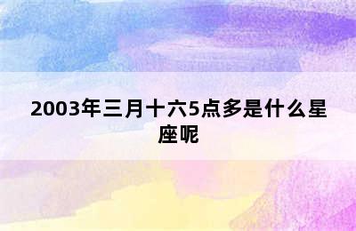 2003年三月十六5点多是什么星座呢