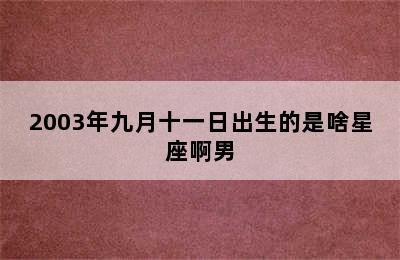 2003年九月十一日出生的是啥星座啊男