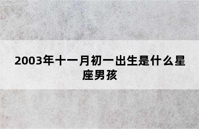 2003年十一月初一出生是什么星座男孩