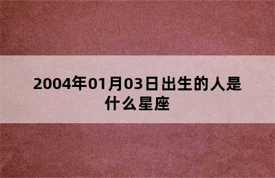 2004年01月03日出生的人是什么星座