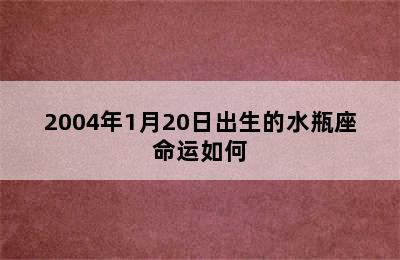 2004年1月20日出生的水瓶座命运如何