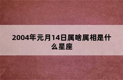 2004年元月14日属啥属相是什么星座