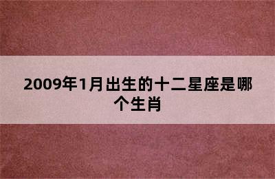 2009年1月出生的十二星座是哪个生肖