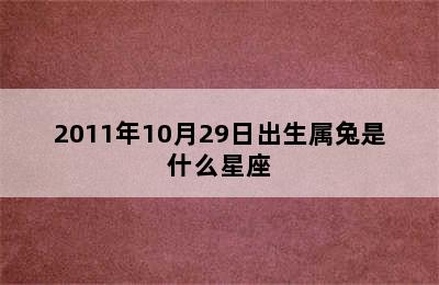 2011年10月29日出生属兔是什么星座