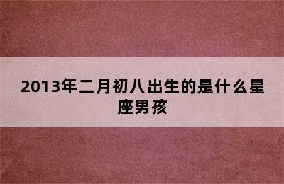 2013年二月初八出生的是什么星座男孩