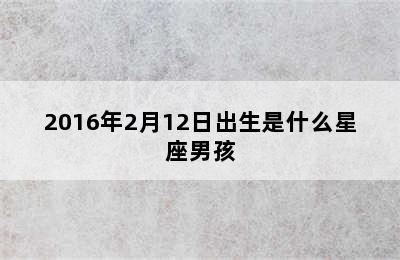 2016年2月12日出生是什么星座男孩