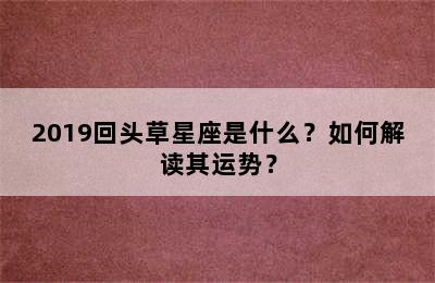 2019回头草星座是什么？如何解读其运势？