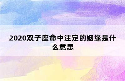 2020双子座命中注定的姻缘是什么意思