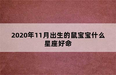 2020年11月出生的鼠宝宝什么星座好命