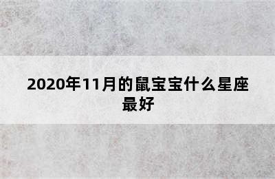 2020年11月的鼠宝宝什么星座最好