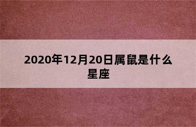 2020年12月20日属鼠是什么星座