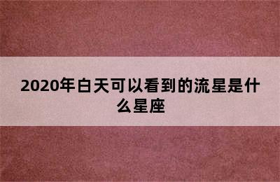 2020年白天可以看到的流星是什么星座