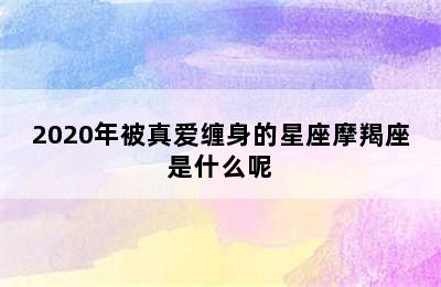 2020年被真爱缠身的星座摩羯座是什么呢