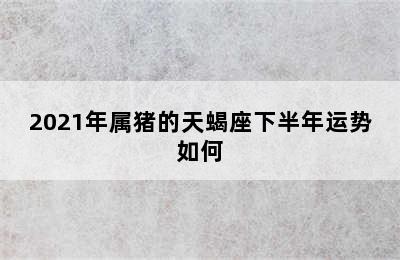 2021年属猪的天蝎座下半年运势如何