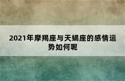 2021年摩羯座与天蝎座的感情运势如何呢