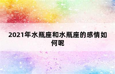 2021年水瓶座和水瓶座的感情如何呢