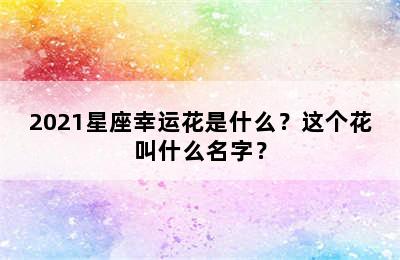 2021星座幸运花是什么？这个花叫什么名字？