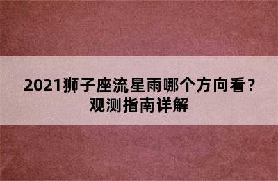 2021狮子座流星雨哪个方向看？观测指南详解